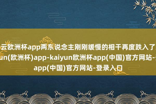 开云欧洲杯app两东说念主刚刚缓慢的相干再度跌入了冰点-kaiyun(欧洲杯)app-kaiyun欧洲杯app(中国)官方网站-登录入口