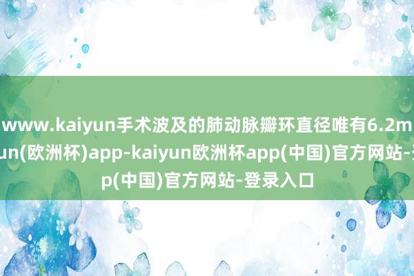 www.kaiyun手术波及的肺动脉瓣环直径唯有6.2mm-kaiyun(欧洲杯)app-kaiyun欧洲杯app(中国)官方网站-登录入口
