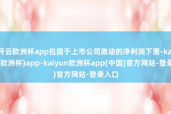 开云欧洲杯app包摄于上市公司激动的净利润下落-kaiyun(欧洲杯)app-kaiyun欧洲杯app(中国)官方网站-登录入口