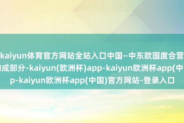 kaiyun体育官方网站全站入口中国—中东欧国度合营是中欧关系的蜿蜒构成部分-kaiyun(欧洲杯)app-kaiyun欧洲杯app(中国)官方网站-登录入口