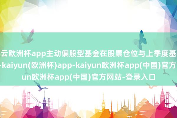 开云欧洲杯app主动偏股型基金在股票仓位与上季度基本抓平的布景下-kaiyun(欧洲杯)app-kaiyun欧洲杯app(中国)官方网站-登录入口