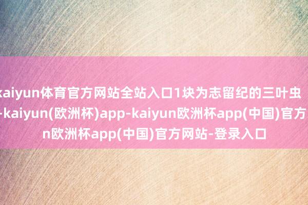 kaiyun体育官方网站全站入口1块为志留纪的三叶虫（皇冠虫）化石-kaiyun(欧洲杯)app-kaiyun欧洲杯app(中国)官方网站-登录入口