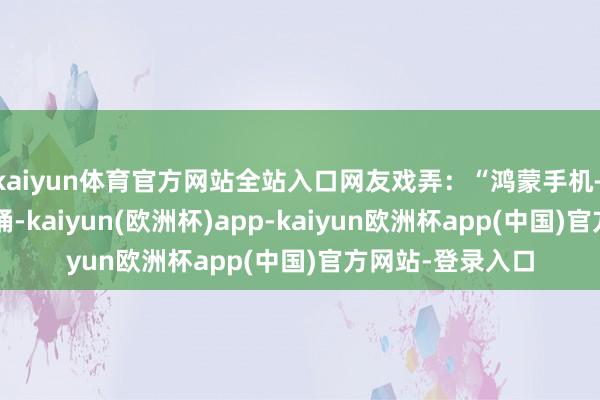kaiyun体育官方网站全站入口网友戏弄：“鸿蒙手机+平板+车机全家桶-kaiyun(欧洲杯)app-kaiyun欧洲杯app(中国)官方网站-登录入口