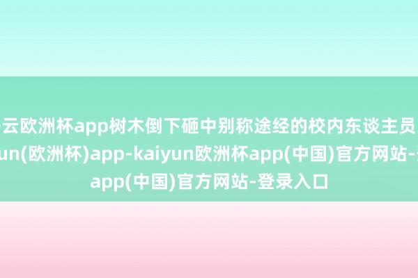 开云欧洲杯app树木倒下砸中别称途经的校内东谈主员家属-kaiyun(欧洲杯)app-kaiyun欧洲杯app(中国)官方网站-登录入口