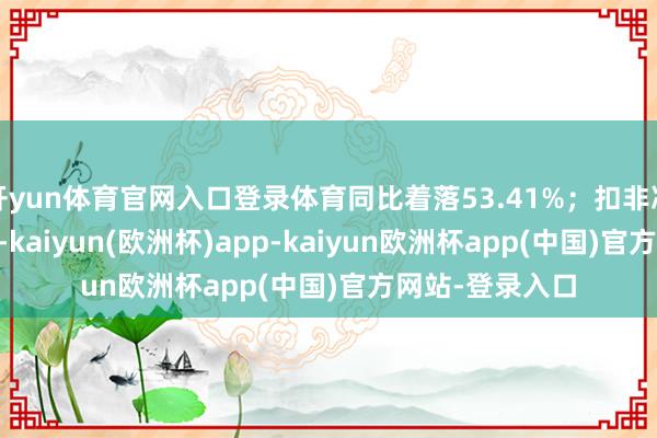 开yun体育官网入口登录体育同比着落53.41%；扣非净利润1.83亿元-kaiyun(欧洲杯)app-kaiyun欧洲杯app(中国)官方网站-登录入口