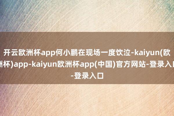 开云欧洲杯app何小鹏在现场一度饮泣-kaiyun(欧洲杯)app-kaiyun欧洲杯app(中国)官方网站-登录入口