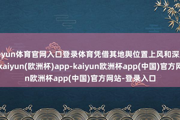 开yun体育官网入口登录体育凭借其地舆位置上风和深厚的产业基础-kaiyun(欧洲杯)app-kaiyun欧洲杯app(中国)官方网站-登录入口