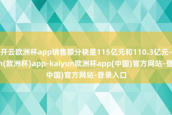 开云欧洲杯app销售额分袂是115亿元和110.3亿元-kaiyun(欧洲杯)app-kaiyun欧洲杯app(中国)官方网站-登录入口