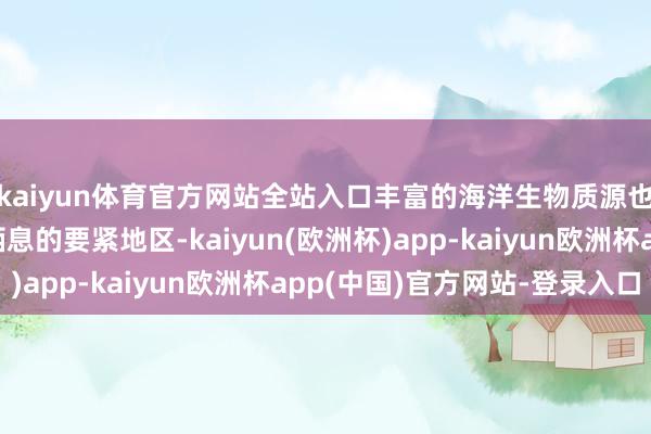 kaiyun体育官方网站全站入口丰富的海洋生物质源也使得我国成为鲸类栖息的要紧地区-kaiyun(欧洲杯)app-kaiyun欧洲杯app(中国)官方网站-登录入口