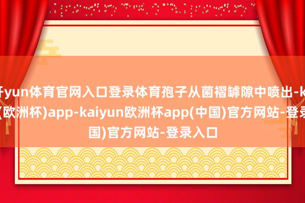 开yun体育官网入口登录体育孢子从菌褶罅隙中喷出-kaiyun(欧洲杯)app-kaiyun欧洲杯app(中国)官方网站-登录入口
