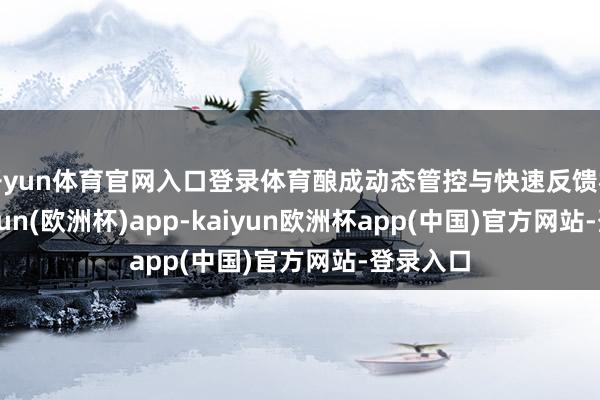 开yun体育官网入口登录体育酿成动态管控与快速反馈机制-kaiyun(欧洲杯)app-kaiyun欧洲杯app(中国)官方网站-登录入口