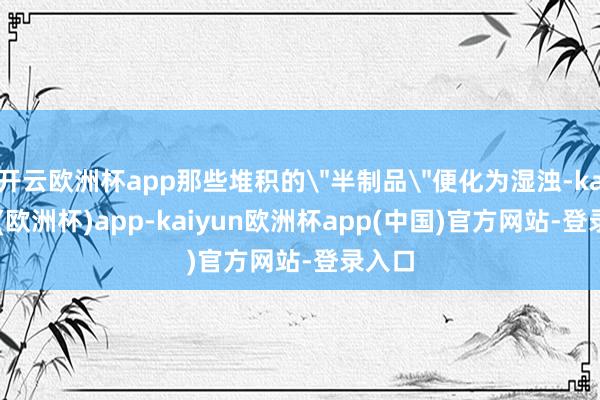 开云欧洲杯app那些堆积的