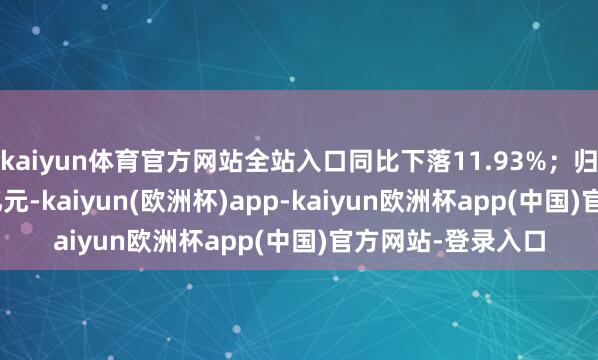 kaiyun体育官方网站全站入口同比下落11.93%；归母净利润21.29亿元-kaiyun(欧洲杯)app-kaiyun欧洲杯app(中国)官方网站-登录入口
